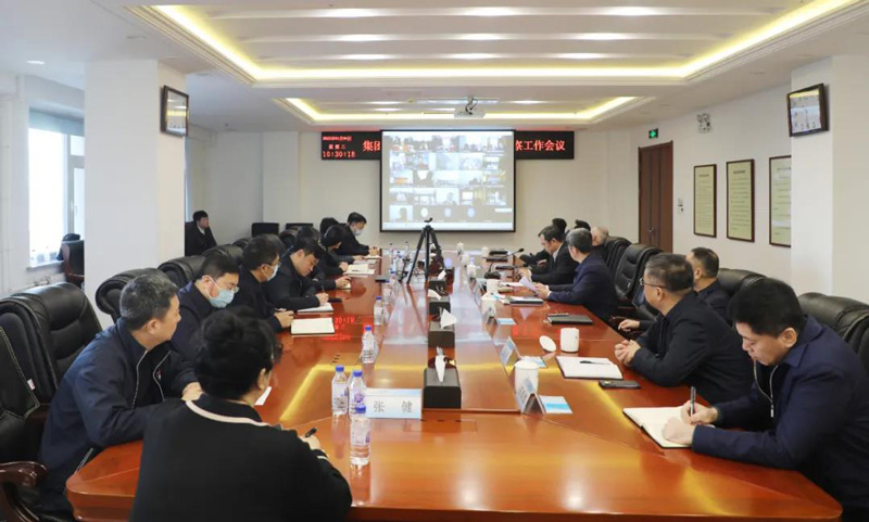 集团召开党的二十大代表人选推荐考察工作会议(图2)